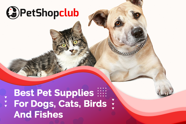 Best Pet Supplies For Dogs, Cats, Birds And Fishes