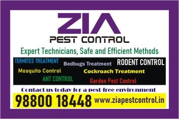 Zia Pest Control | General Pest Control | Ant and Lizard | Marathahalli | 4029