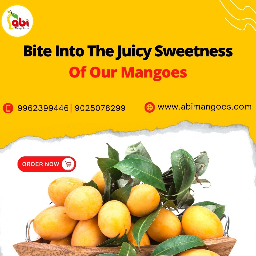 Buy Indian Mangoes Online | Alphonso Mangoes Onlin