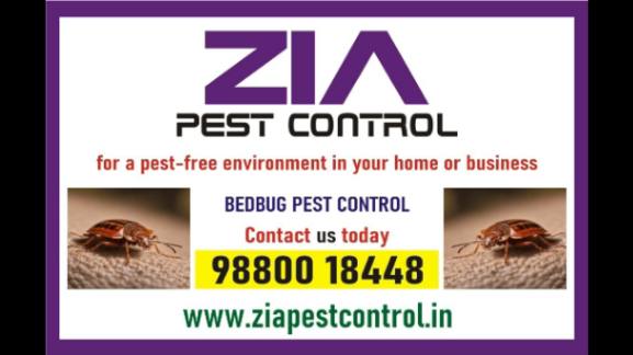 pest-control-services