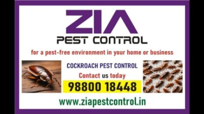 Cockroach Pest cleaning service | AMC is also available Price List | 1981